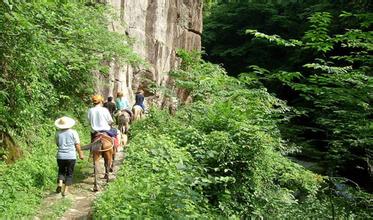 �����ŵ�