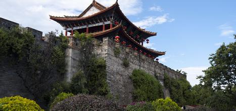 �����ų�