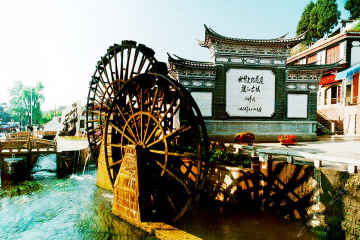 �����ų�