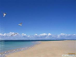 �����庣��ԡ��