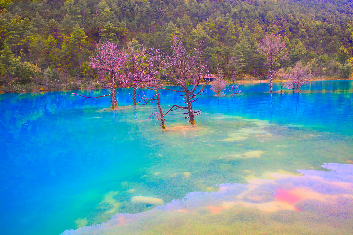 ֽ 羰 Ӱ  1200_800